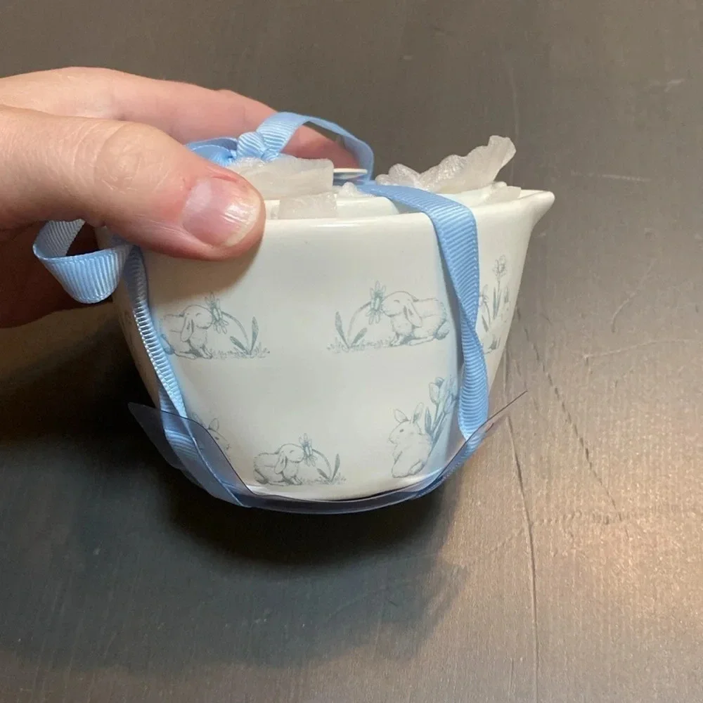 Rae Dunn Peter Rabbit measuring cups Blue & White